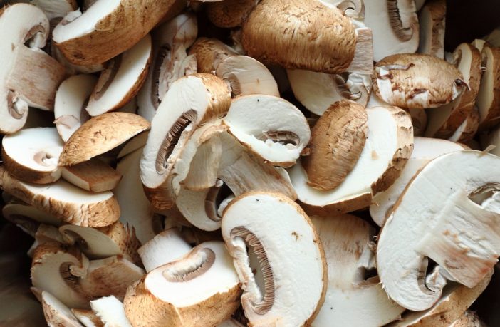 Why you should be growing your own mushrooms