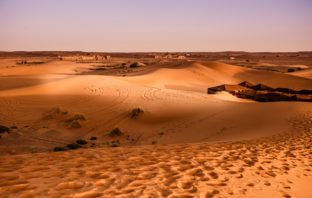 Building a shelter to survive the desert