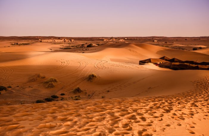 Building a shelter to survive the desert